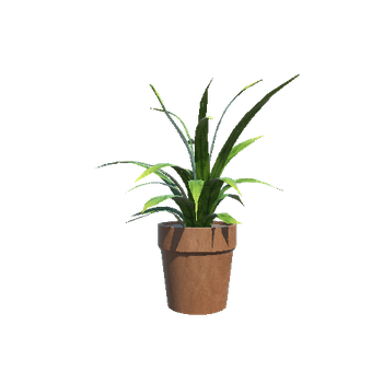 Plant 4